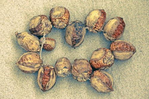 小小灰吃瓜,揭秘娱乐圈那些不为人知的幕后故事