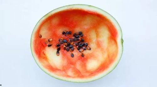 高级家用勺子吃瓜,解锁夏日吃瓜新时尚