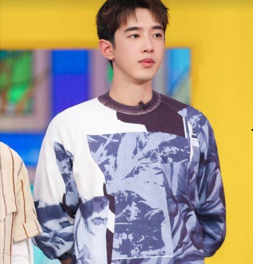 吃瓜日记任嘉伦,瓜田里的甜蜜果实