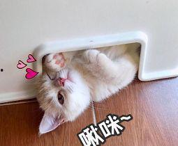 啾咪吃瓜,揭秘娱乐圈那些不为人知的幕后故事