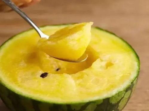 吃果冻吃奶酪棒吃小瓜,美味零食之旅