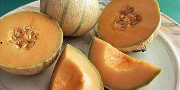 喀纳斯蜜瓜怎么吃,解锁夏日清新美味