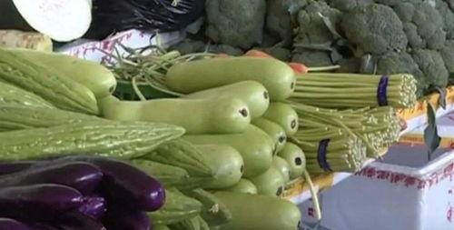 苦线瓜可以吃吗