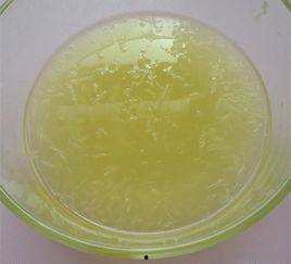 日本蜜瓜糖浆怎么吃,探索日本蜜瓜糖浆的多重美味食用法