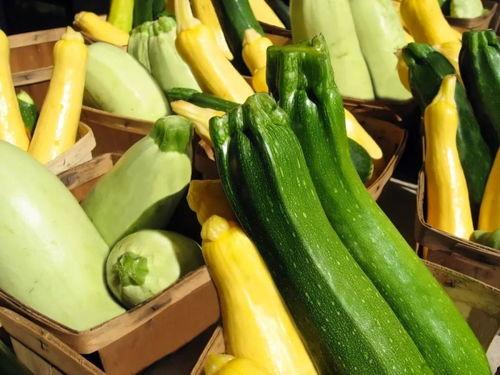 北方夏季吃的瓜,北方夏季瓜果盛宴