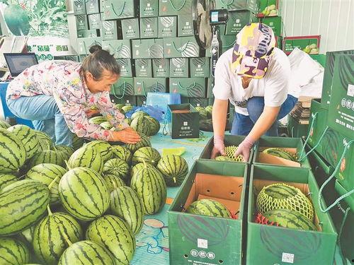 汾阳吃瓜事件近日