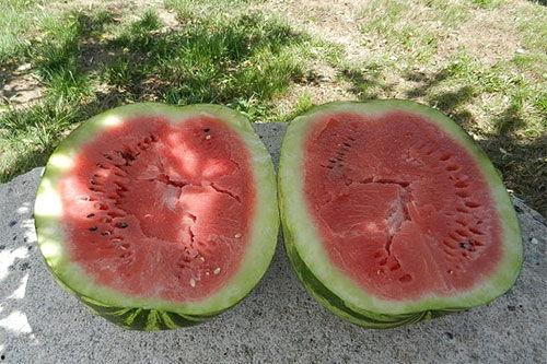 梦到吃鲜瓜,揭秘吃鲜瓜的奇幻之旅