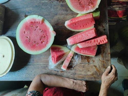 各种吃瓜无大全,吃瓜无大全，带你领略明星幕后故事