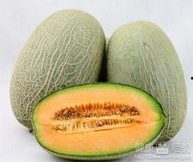 拿哈密瓜给金鱼吃可以吗,探索水果与水族共生的可能性