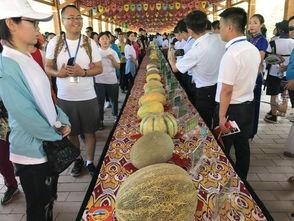 幸运的吃瓜观众,幸运吃瓜观众见证奇迹时刻