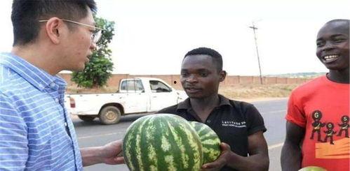 各种国家吃瓜人,各国独特的围观人生