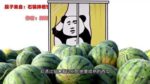 表哥吃瓜图片,揭秘娱乐圈幕后故事