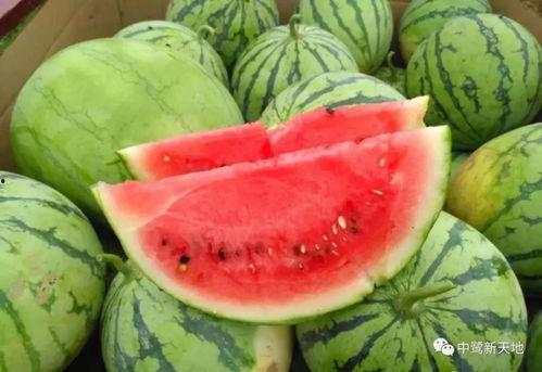 小甜泡泡吃瓜,揭秘娱乐圈那些不为人知的幕后故事