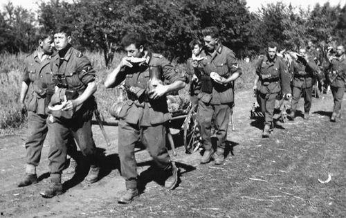 吃瓜的德军,德军视角下的“吃瓜群众”趣闻录